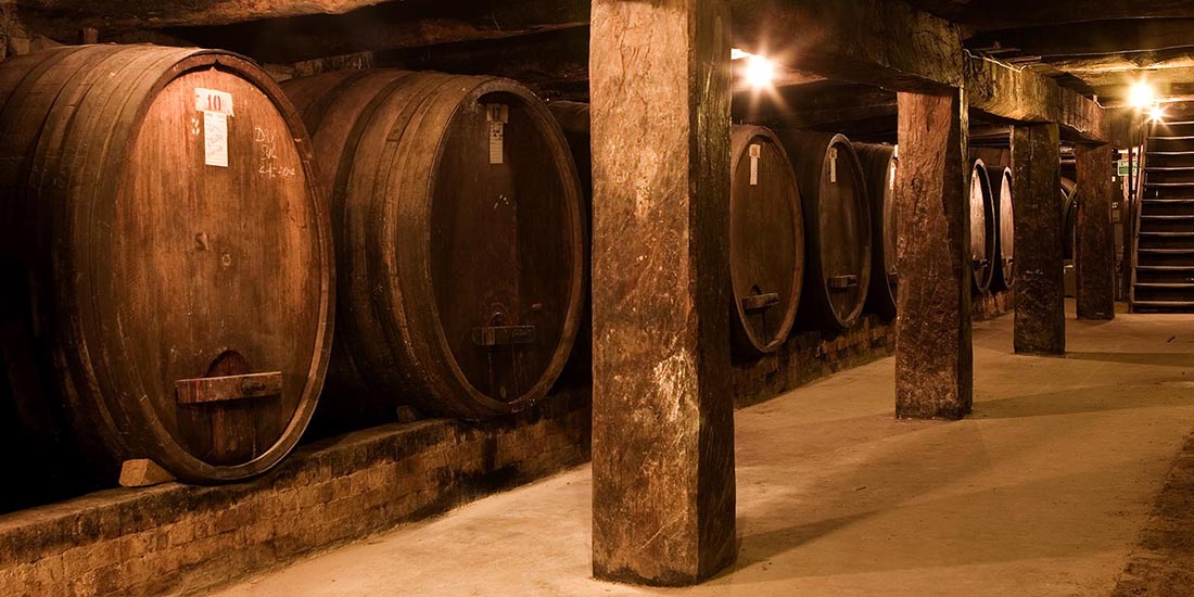 Large wine barrels in wine cellar. 